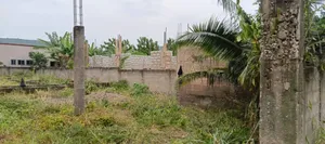 A Half Plot in Baleshi Dodowa