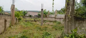 A Half Plot in Baleshi Dodowa