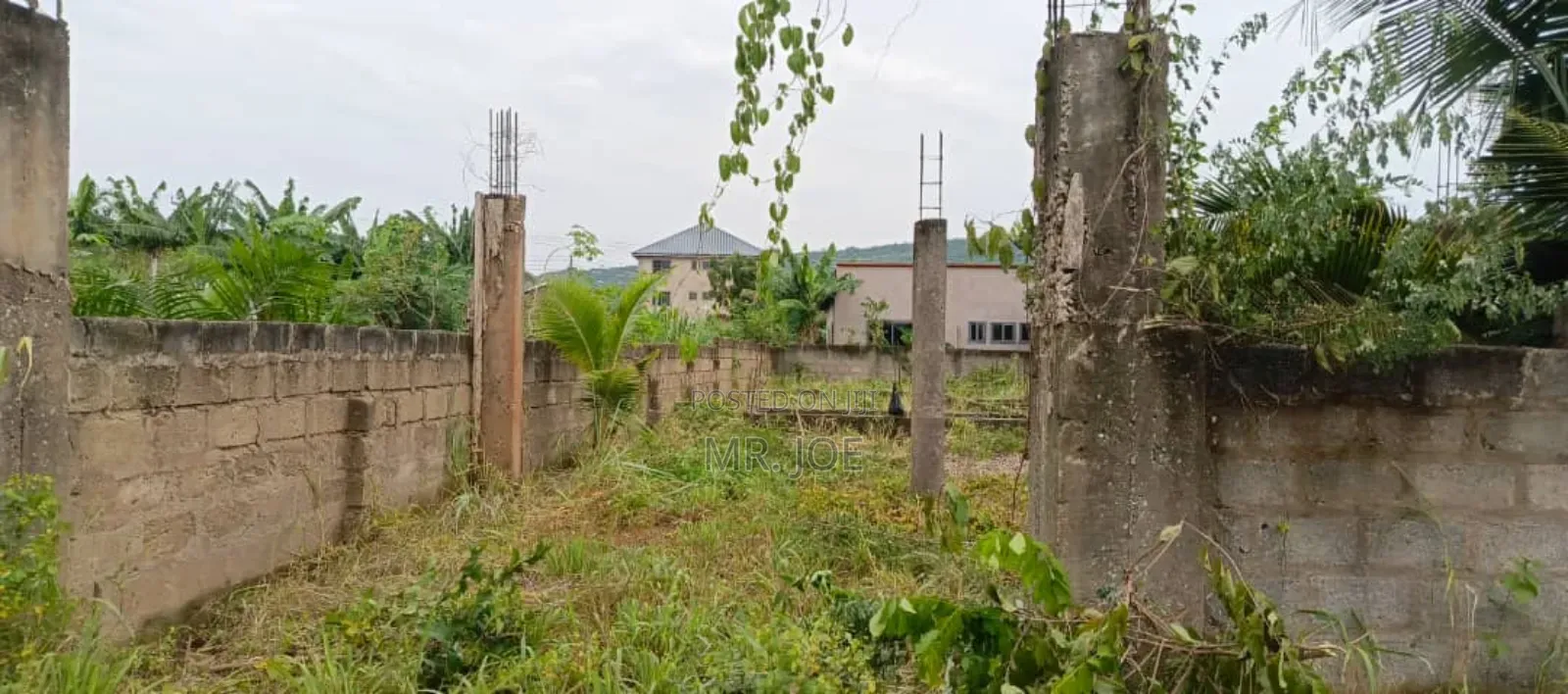 A Half Plot in Baleshi Dodowa