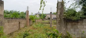 A Half Plot in Baleshi Dodowa