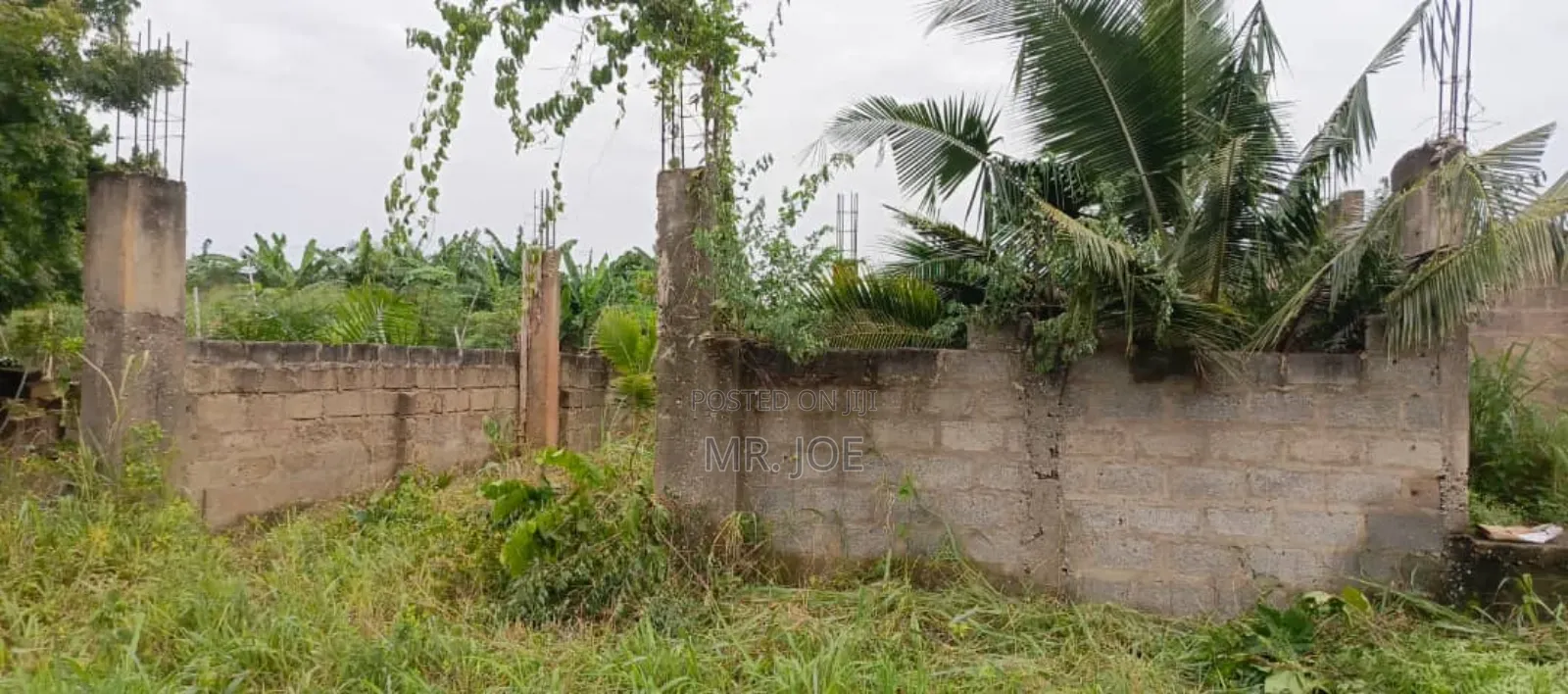 A Half Plot in Baleshi Dodowa