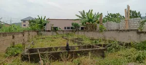 A Half Plot in Baleshi Dodowa