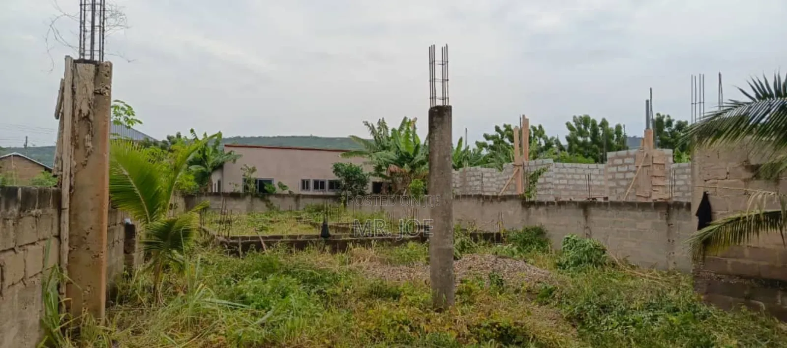 A Half Plot in Baleshi Dodowa