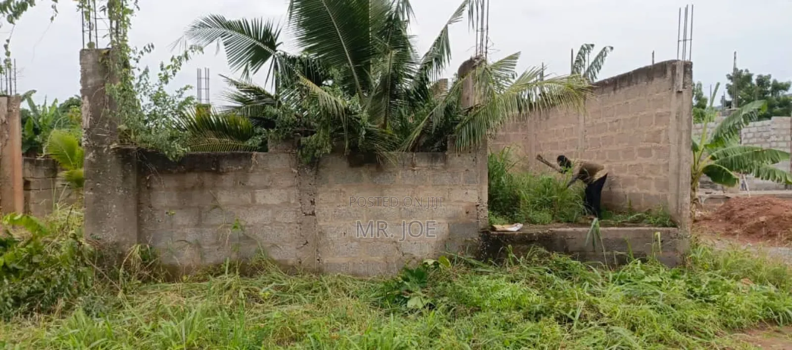 A Half Plot in Baleshi Dodowa