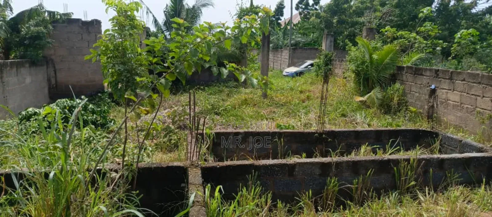 A Half Plot in Baleshi Dodowa