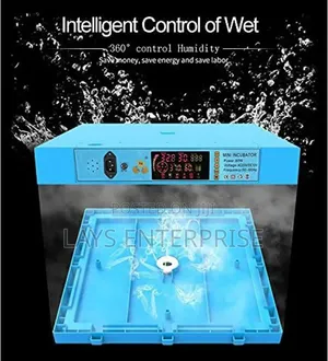 Egg Incubator