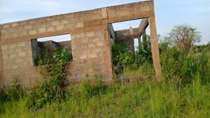 Land Property