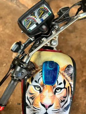 Royal Motorcycle 2024 Blue