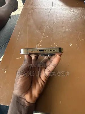 Apple iPhone 13 Pro 256 GB Gray