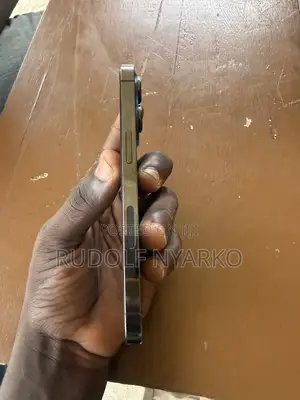Apple iPhone 13 Pro 256 GB Gray