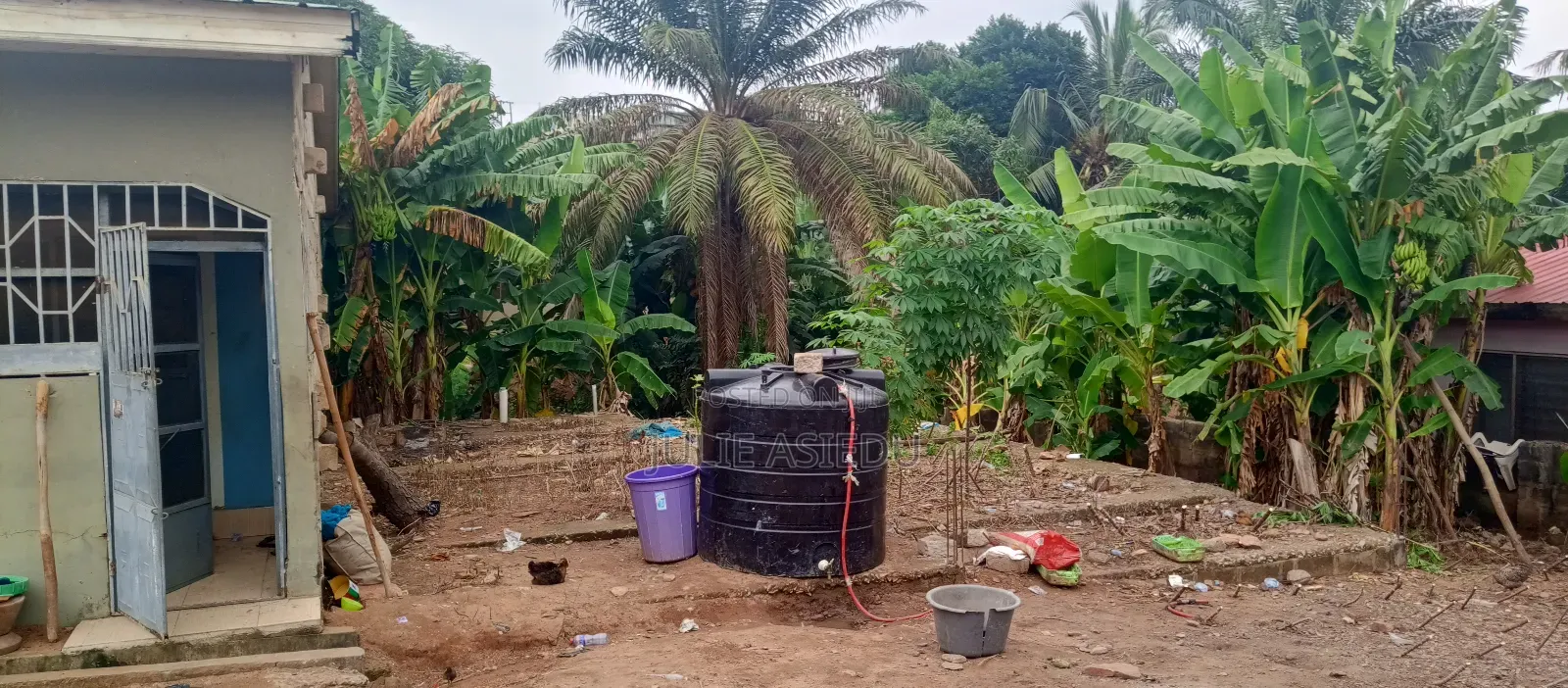 Land Together With House for Sale