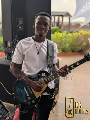 Professional Guitarist