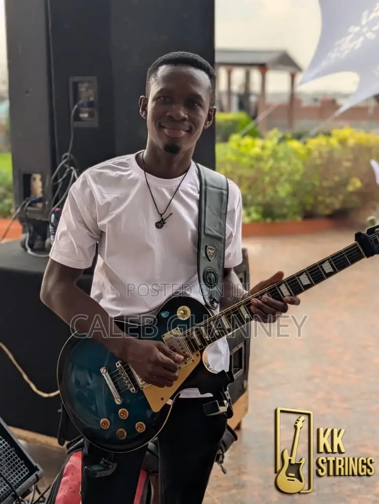 Professional Guitarist