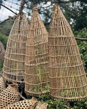 Basket Fish Trap