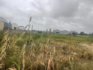 4 Acers of Land at Spintex for Rent/ Sale