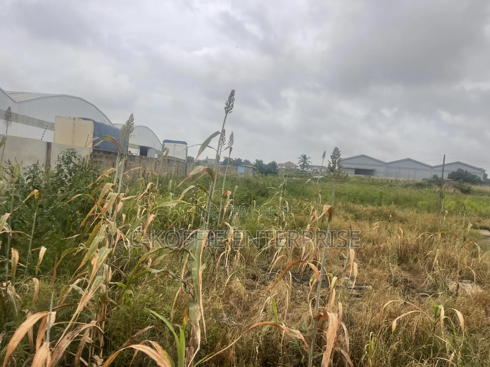 4 Acers of Land at Spintex for Rent/ Sale
