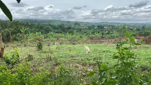 3plots Registered With All Necessary Documents