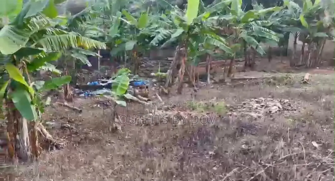 Half Plot of Land for Sale at Kwabeyan,