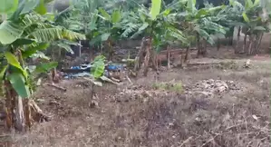 Half Plot of Land for Sale at Kwabeyan,