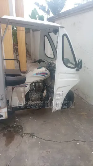 New Tricycle 2024 White