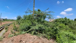 Bechem Concession for Mining (Gold Land) CHECK PRICE IN DESCRIPTION