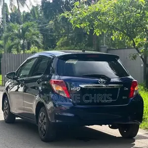 Bolt/Uber Driver.