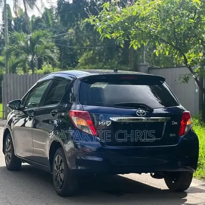 Bolt/Uber Driver.
