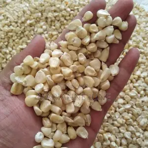 White Maize