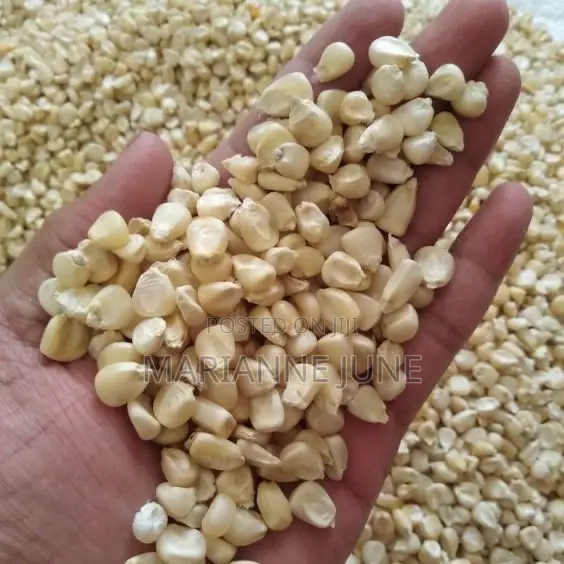 White Maize