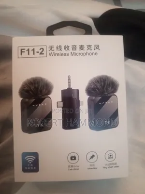 Mini Microphone