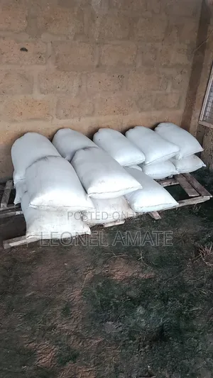 Cassava Dough 50kg