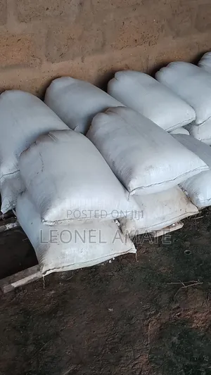 Cassava Dough 50kg
