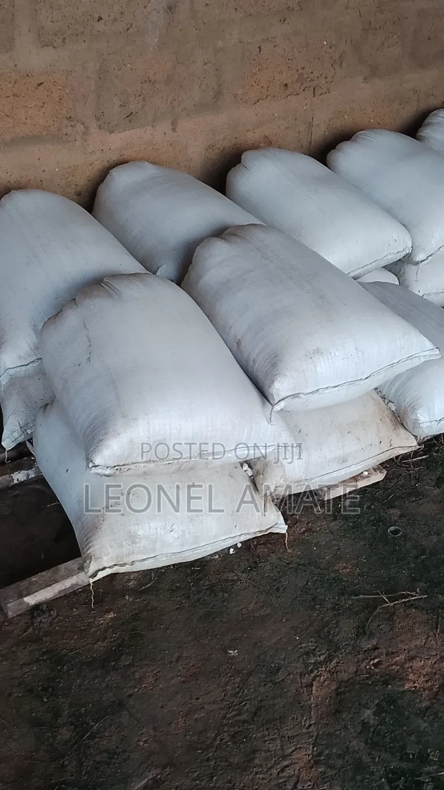 Cassava Dough 50kg