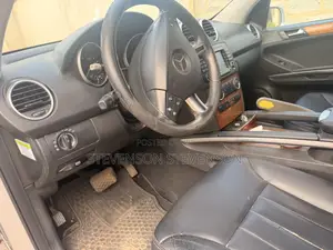 Mercedes-Benz M Class 2009 Silver
