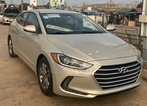 Hyundai Elantra Sport Sedan FWD (1.6L 4cyl 6M) 2017 Silver