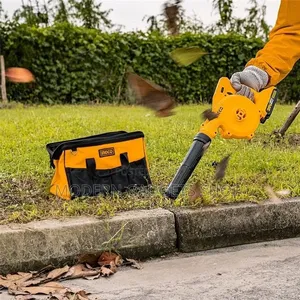 Battery Powered Dust Blower/Vacuum Cleaner