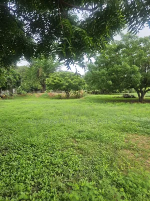 For Sale 2 Plots of Land Abelemkpe