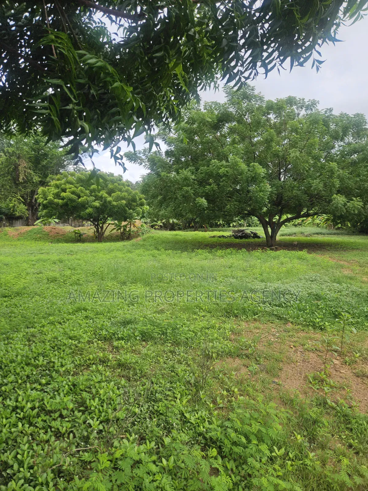 For Sale 2 Plots of Land Abelemkpe