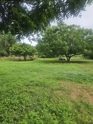 For Sale 2 Plots of Land Abelemkpe