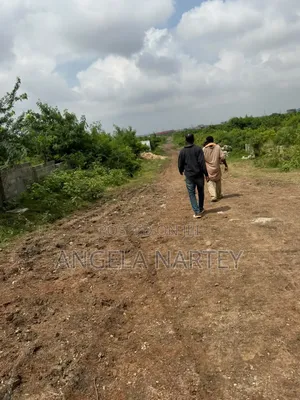 Four Acres Roadside Land for Sale at Borteyman