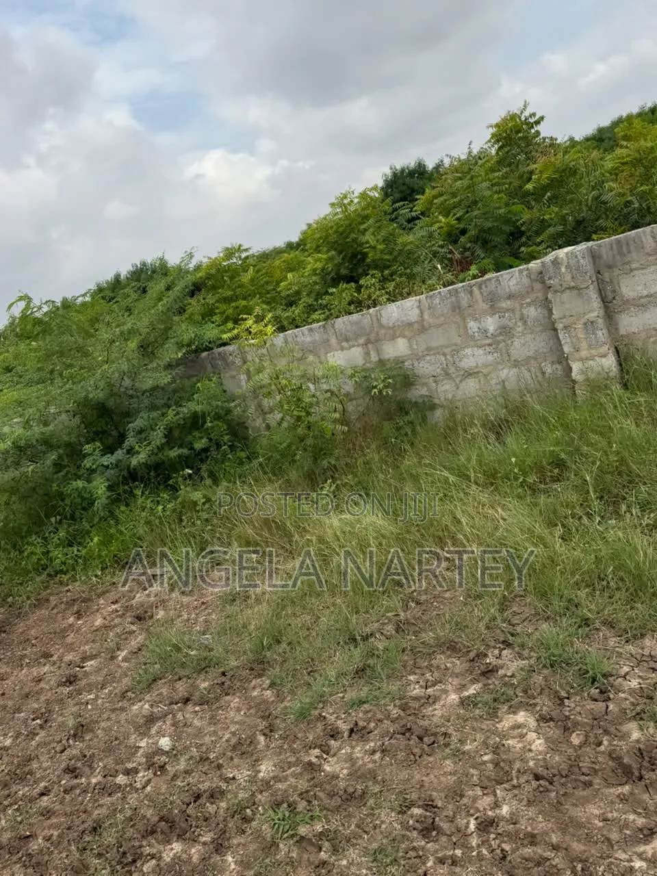 Four Acres Roadside Land for Sale at Borteyman