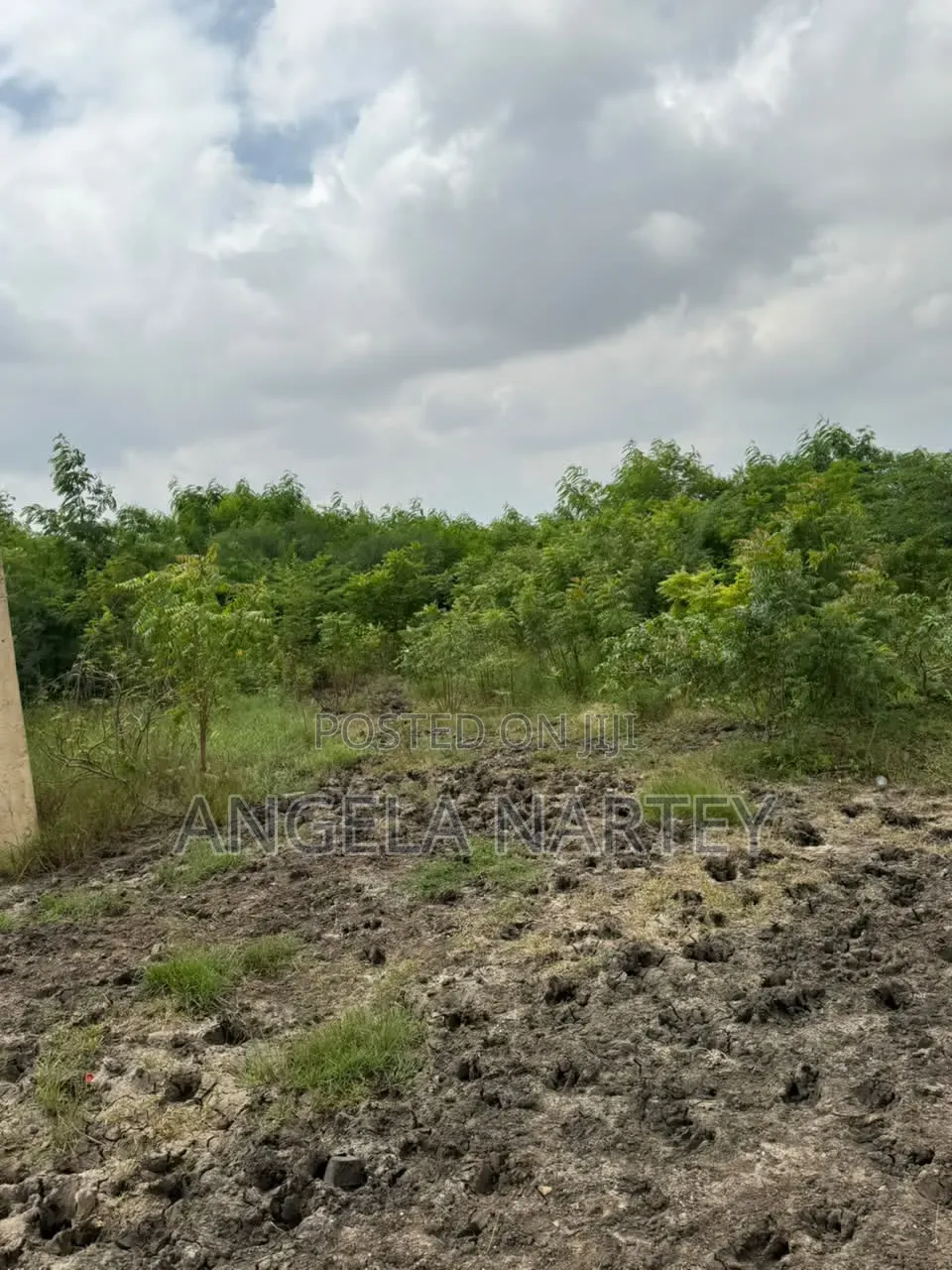 Four Acres Roadside Land for Sale at Borteyman
