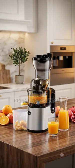 Silver Love Slow Juicer