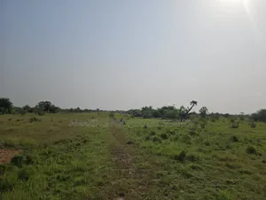 19 Acres of Land Available for Sale at Tema Industrial Area