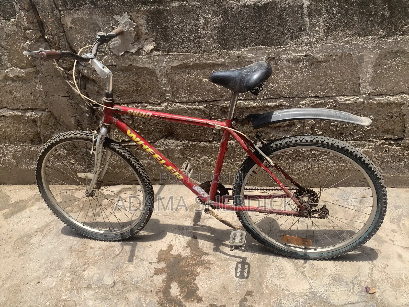 Racer Bicycle