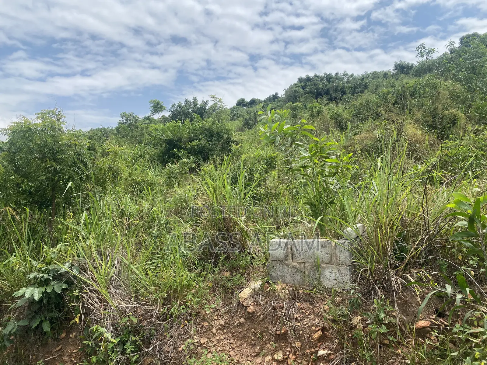 Litigation Free Plots of Lands for Sale