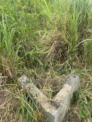 Litigation Free Plots of Lands for Sale