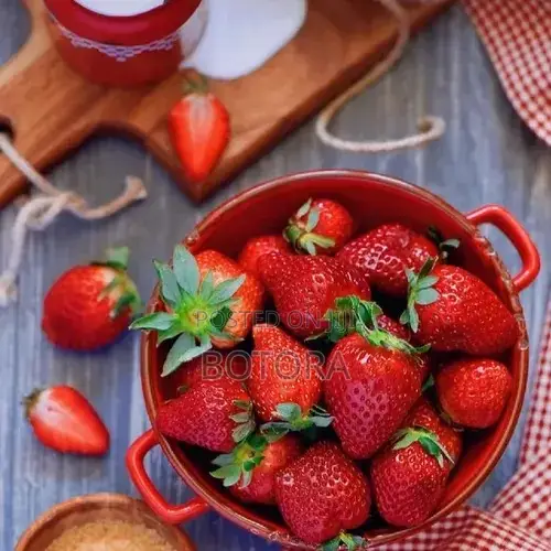 Sweet Strawberry Seeds for Planting – Home Garden, Balcony Pot Grow