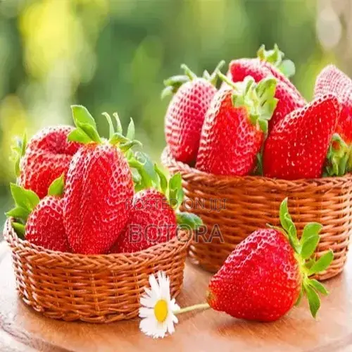 Sweet Strawberry Seeds for Planting – Home Garden, Balcony Pot Grow
