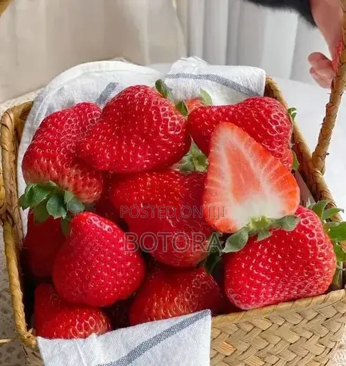 Sweet Strawberry Seeds for Planting – Home Garden, Balcony Pot Grow